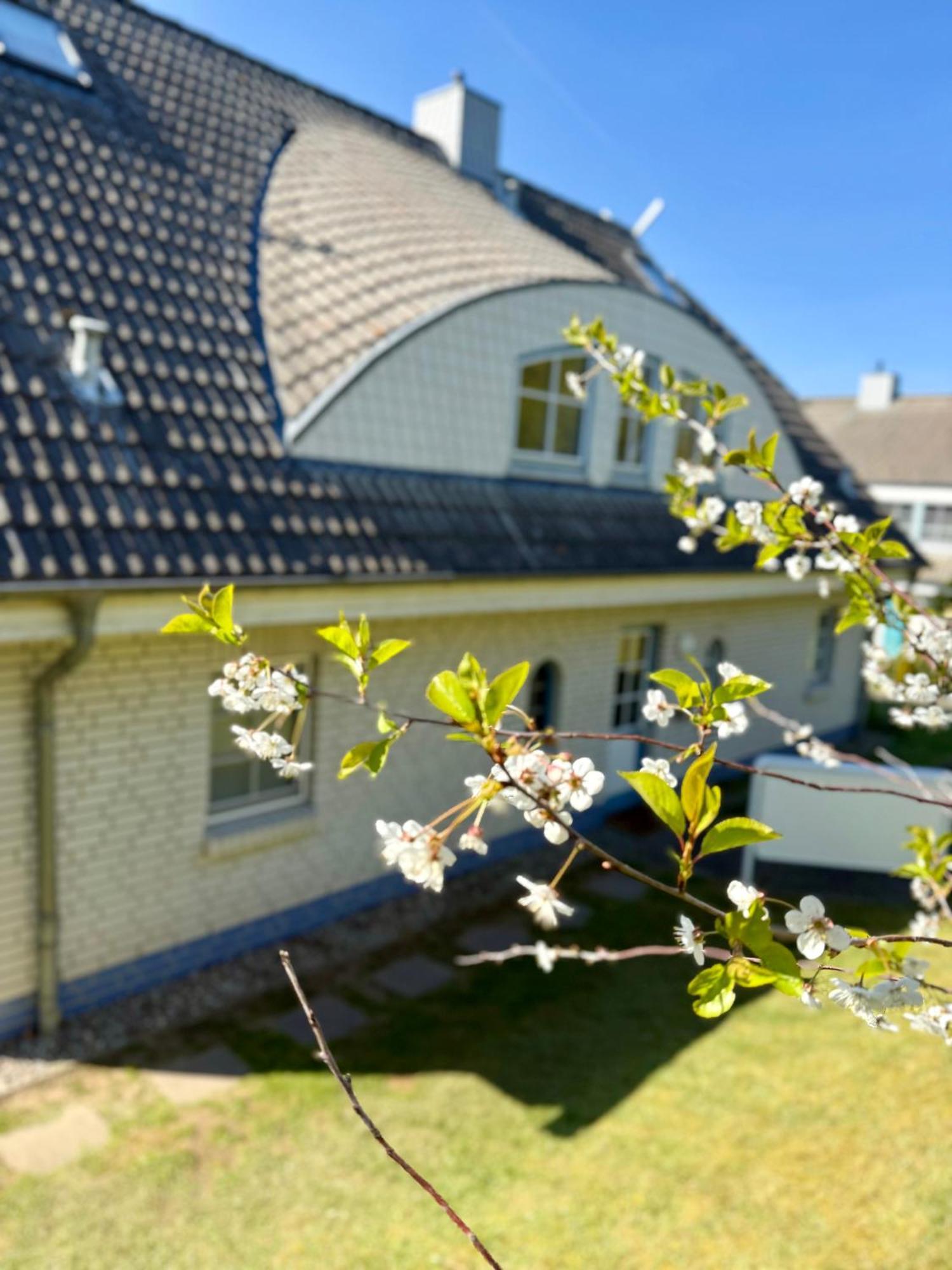 Sellin Ferienwohnung Maritim Seedorf  Exteriör bild